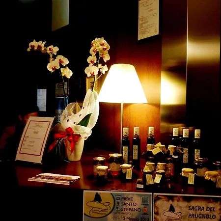 Santo Stefano Hotel Pieve Santo Stefano